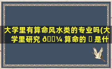大学里有算命风水类的专业吗(大学里研究 🌼 算命的 ☘ 是什么专业)
